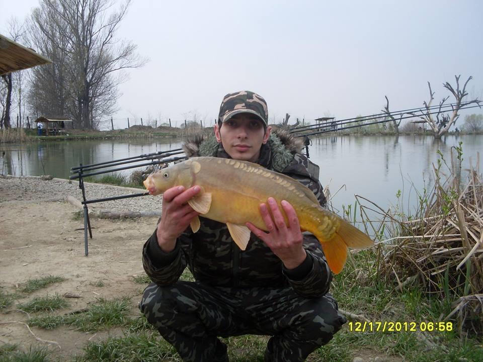 icn carp - 147207714013789634358432043591129n.jpg